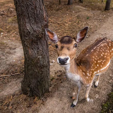 Park Kajetany Hotel Nadarzyn