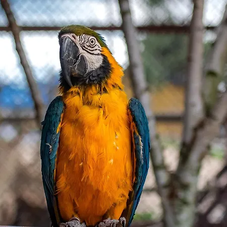 Hotel Park Kajetany Nadarzyn