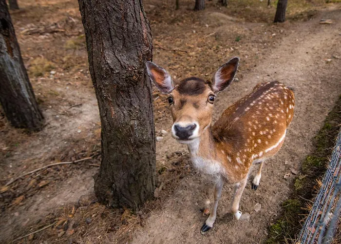 Park Kajetany Hotel Nadarzyn