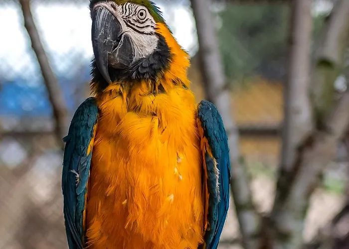 Hotel Park Kajetany Nadarzyn